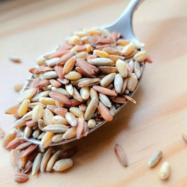 4-PACK OF Bluebird Grain Farms Organic Ancient Grain Blend 4-Pack 4lb Bags