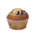 48- PACK OF MUFFIN BLUEBERRY