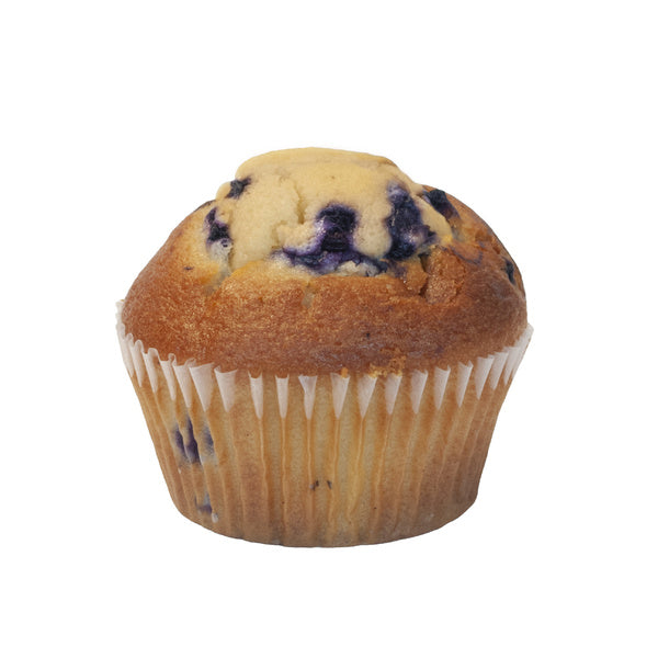 48- PACK OF MUFFIN BLUEBERRY