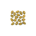 6-PACK OF OLIVE PICHOLINE
