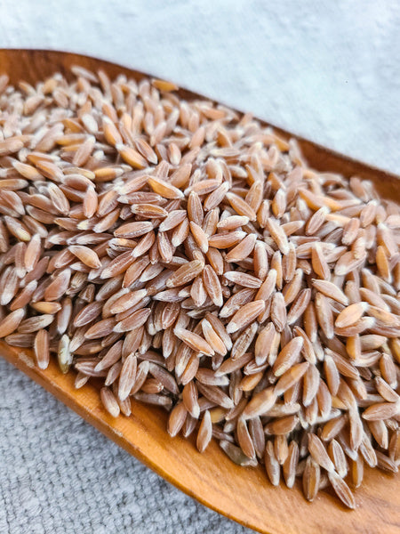 4-PACK OF Organic Farro Emmer Farro Case of 4/5lb Bags