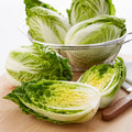 30LB-PACK OF CABBAGE NAPA CHINESE FRESH