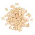 12-PACK OF GRAIN SPCLTY BARLEY PEARLED