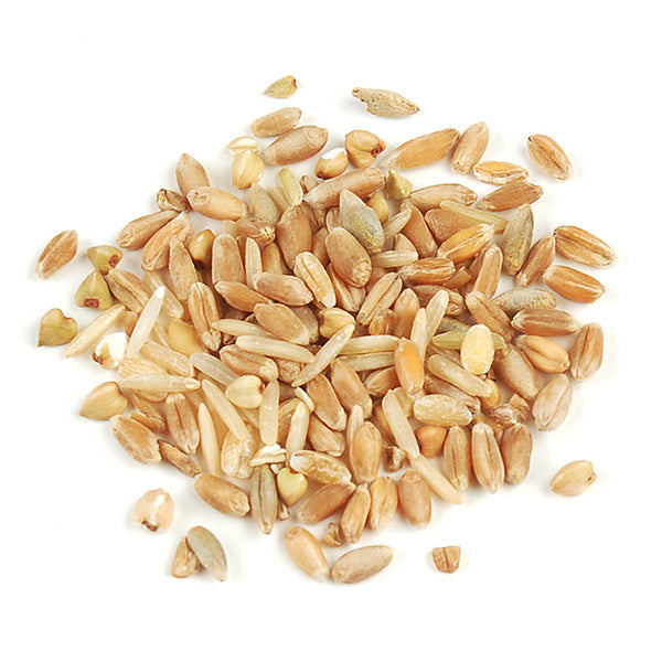 1-PACK OF GRAIN SPCLTY BLEND SEVEN