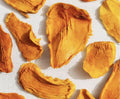 72-PACK OF Snack Fruit Dried Sustainable Organic Mango Sustainable in Plastic Free Compostable Packaging (Pack of 3 x 24 units (72 total units)