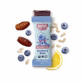 6-PACK OF Snack Bar Blueberry Blast, Skout Organic