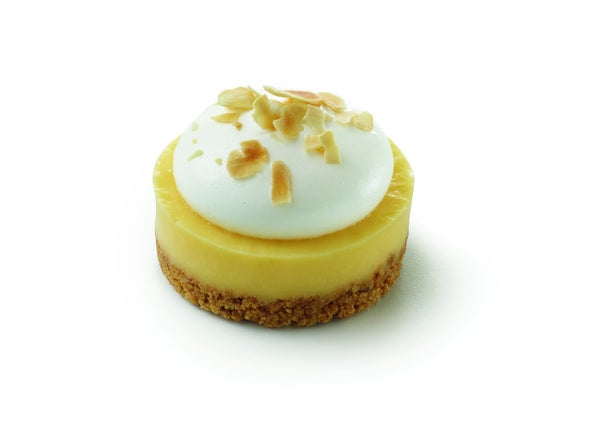 16- PACK OF CAKE LEMON