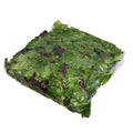2 LB-PACK OF LETTUCE SPRING MIX BLEND/GL