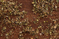 1-PACK OF SPICE BLEND BLACKENING