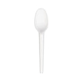 1000-PACK OF SPOON BIODEG COMPOSTABLE 6.5 INCH WHITE DISPOSABLE