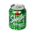 48- PACK OF SODA GINGER ALE REG
