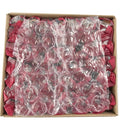 1-PACK OF COOKIE BISCOTTI CIOCOLATI