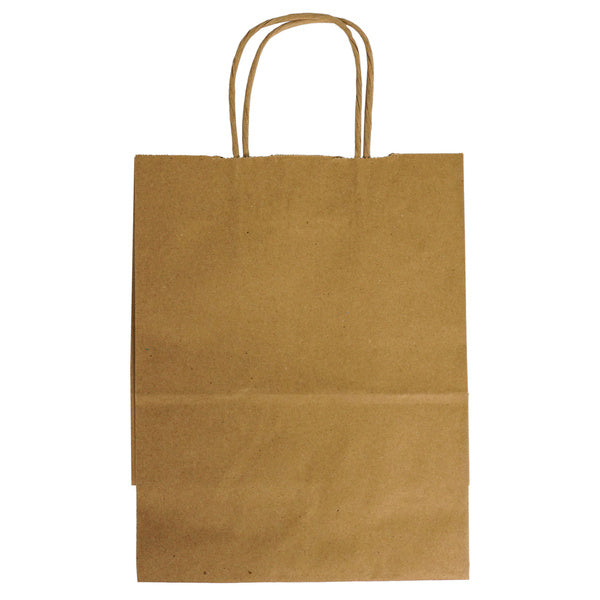1-PACK OF BAG PAPER BRN W/HNDL TEMPO 60#