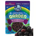 12-PACK OF Blackberry Freeze Dried (100% Fruit), Arctic Farms