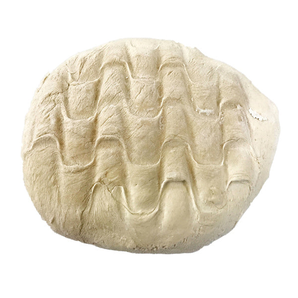 26 OZ-PACK OF DOUGH BALL PIZZA 26OZ