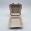 200-PACK OF Single Compartment Hinged Take Out Containers - 9" - 200-Count
