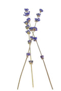 15-PACK OF FLORAL COCKTAIL GARNISH DRIED STEMMED ENGLISH LAVENDER FOOD GRADE ORGANICALLY GROWN 11 GRAMS 15-PACK BUNDLE