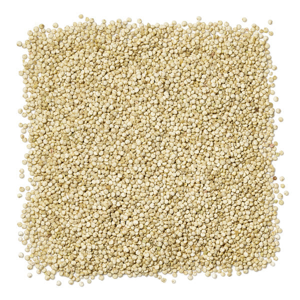 12-PACK OF GRAIN QUINOA RSTD GRLC