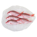 10 LB-PACK OF SNAPPER WHL SCLD/GTD 1-2LB GW