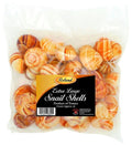 36 CT-PACK OF ESCARGOT SHELL XLARGE