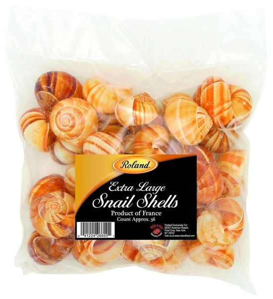 36 CT-PACK OF ESCARGOT SHELL XLARGE