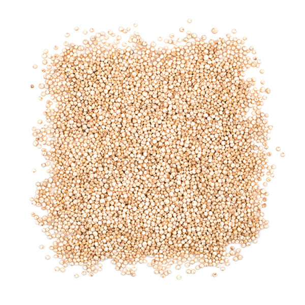 1-PACK OF GRAIN SPECIALTY QUINOA