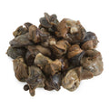72 CT-PACK OF ESCARGOT HELIX LUCORUM 72 CT