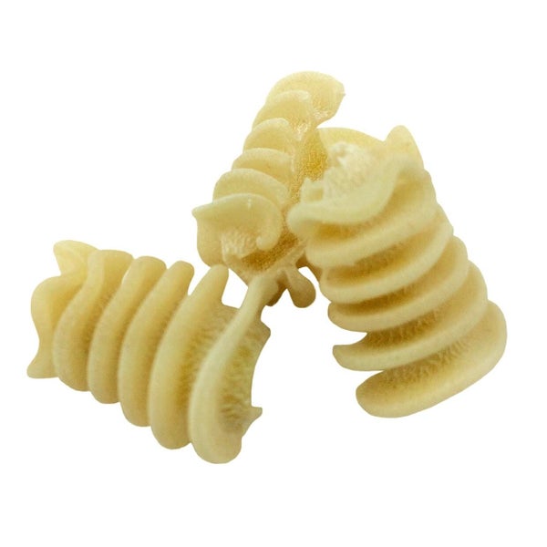 2-PACK OF Pasta Radiators Durum Semolina Organic Bulk, Sfoglini Pasta