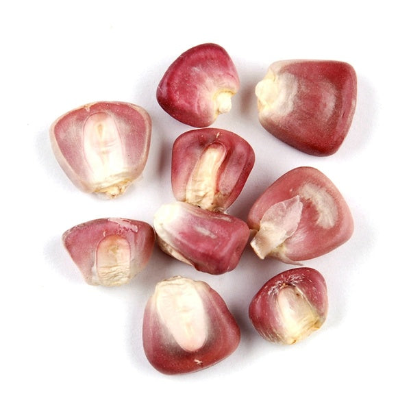 1-PACK OF GRAIN SPCLTY POSOLE RED CORN