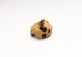 213- PACK OF DOUGH COOKIE CHOC CHIP
