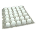 1-PACK OF EGG SHELL PASTEURIZED MED LS