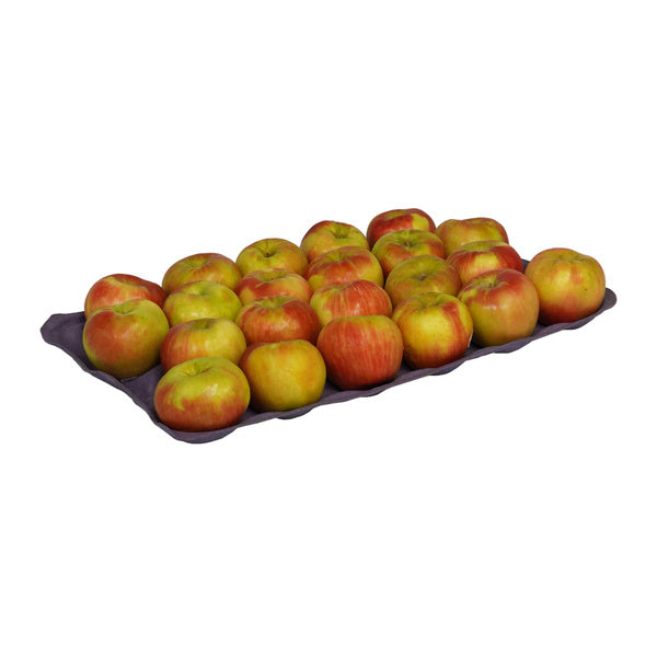 88CT-PACK OF APPLE FRESH HONEYCRISP XFCY